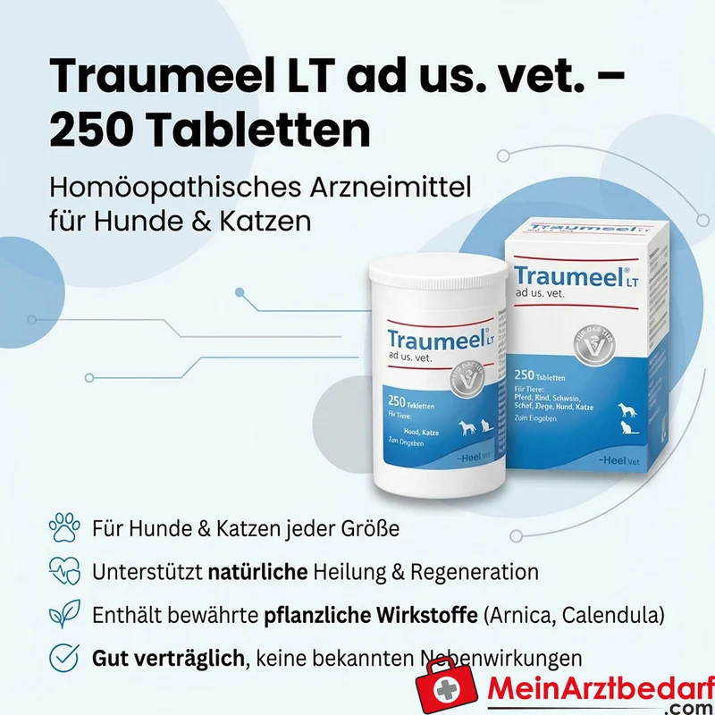 Traumeel LT ad us. vet. Calendula Arnica Tabletten 250 Stück für Hunde & Katzen