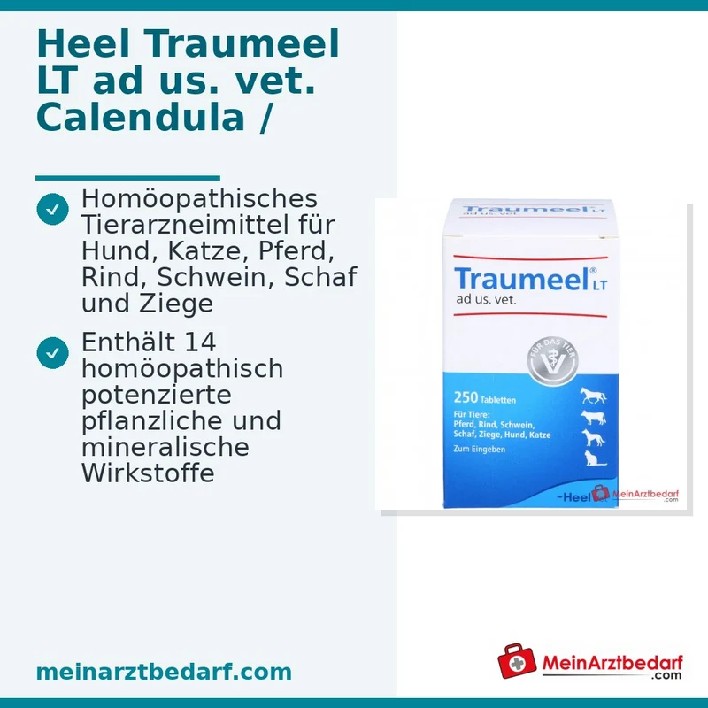 Traumeel LT ad us. vet. Calendula Arnica Tabletten 250 Stück für Hunde & Katzen