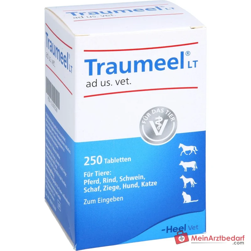 Traumeel LT ad us. vet. Calendula Arnica Tabletten 250 Stück für Hunde & Katzen