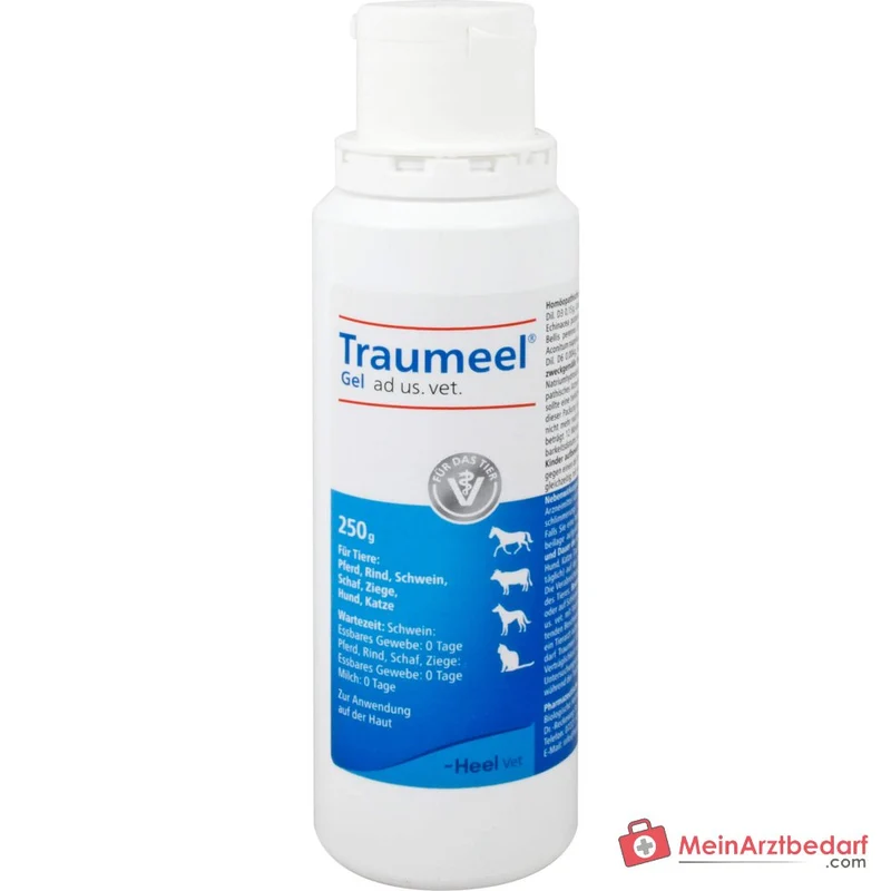 Traumeel Gel ad us. vet. Homöopathisches Arzneimittel 250 g