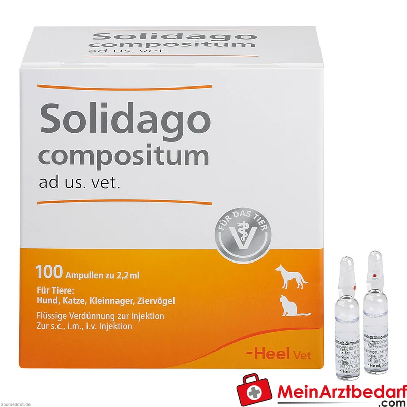 Solidago compositum ad us. vet. Flüssige Verdünnung Injektionslösung 100 St