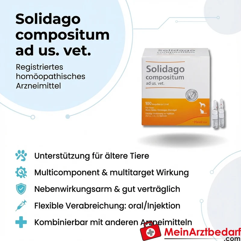 Solidago compositum ad us. vet. Flüssige Verdünnung Injektionslösung 100 St