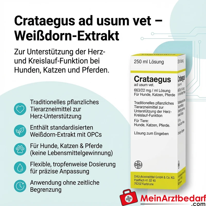 Crataegus ad usum vet Weißdorn-Extrakt Tropfen 250 ml für Hunde Katzen Pferde