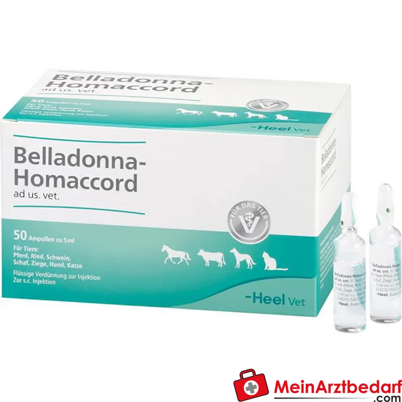 Belladonna Homaccord ad us. vet. 5 ml Ampullen 50 Stück