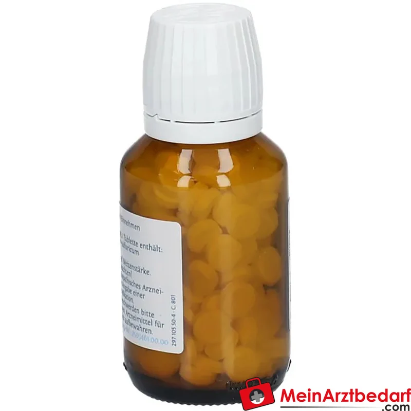 DHU Biochemie Kalium aluminium sulfuricum D6 Tabletten