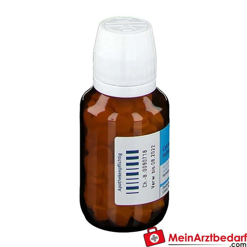 DHU Biochemie 22 Calcium carbonicum D12 250 mg Tabletten