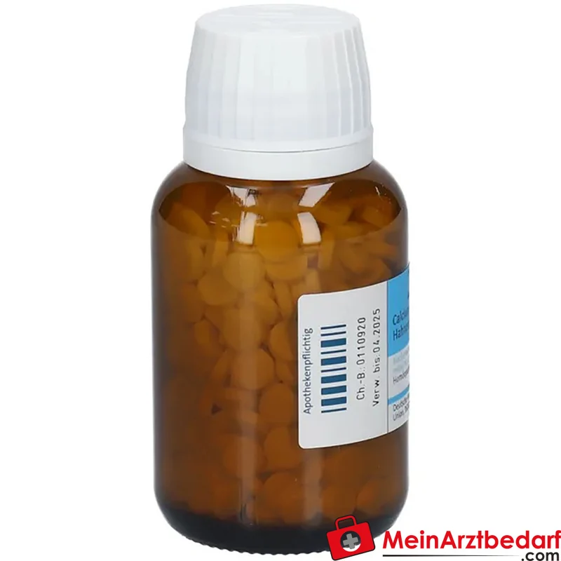 DHU Biochemie 22 Calcium carbonicum D12 250 mg Tabletten