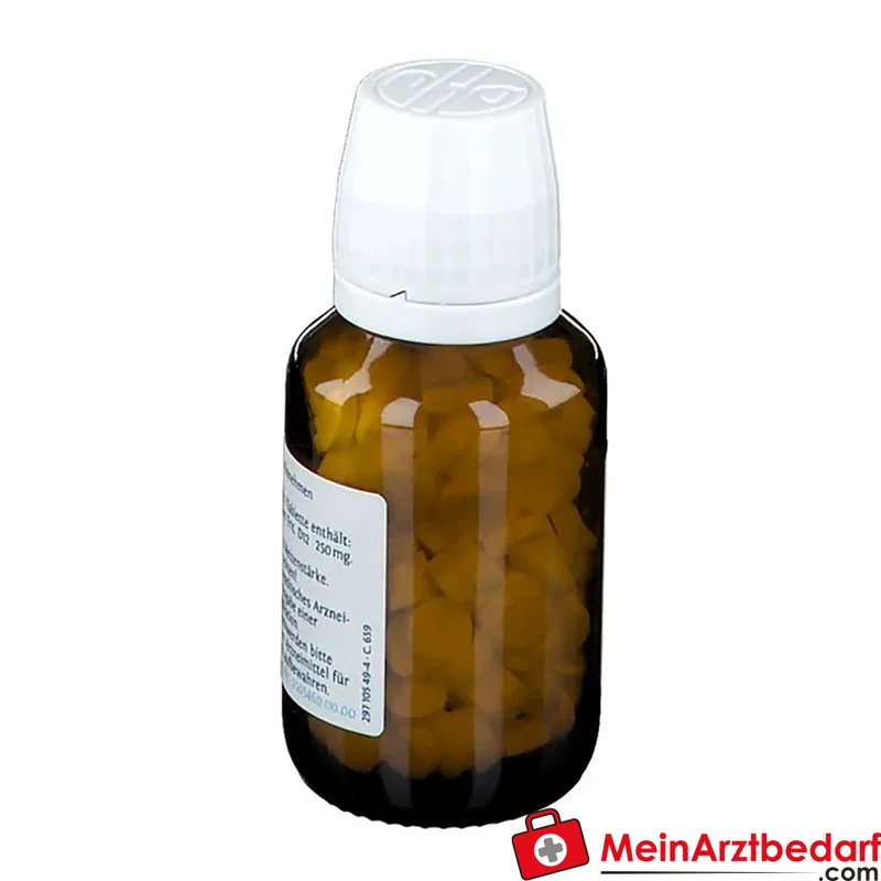 DHU Biochemie Cuprum arsenicosum D12 Tabletten