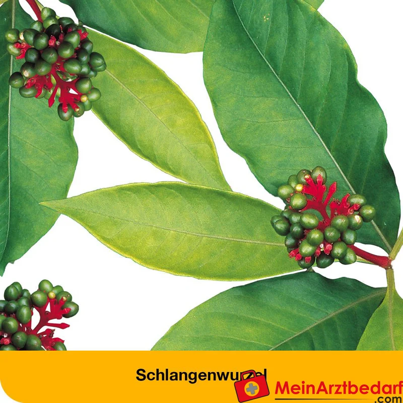 dystoLoges® Tropfen homöopathisches Arzneimittel bei Nervosität und Einschlafstörungen, 50 ml