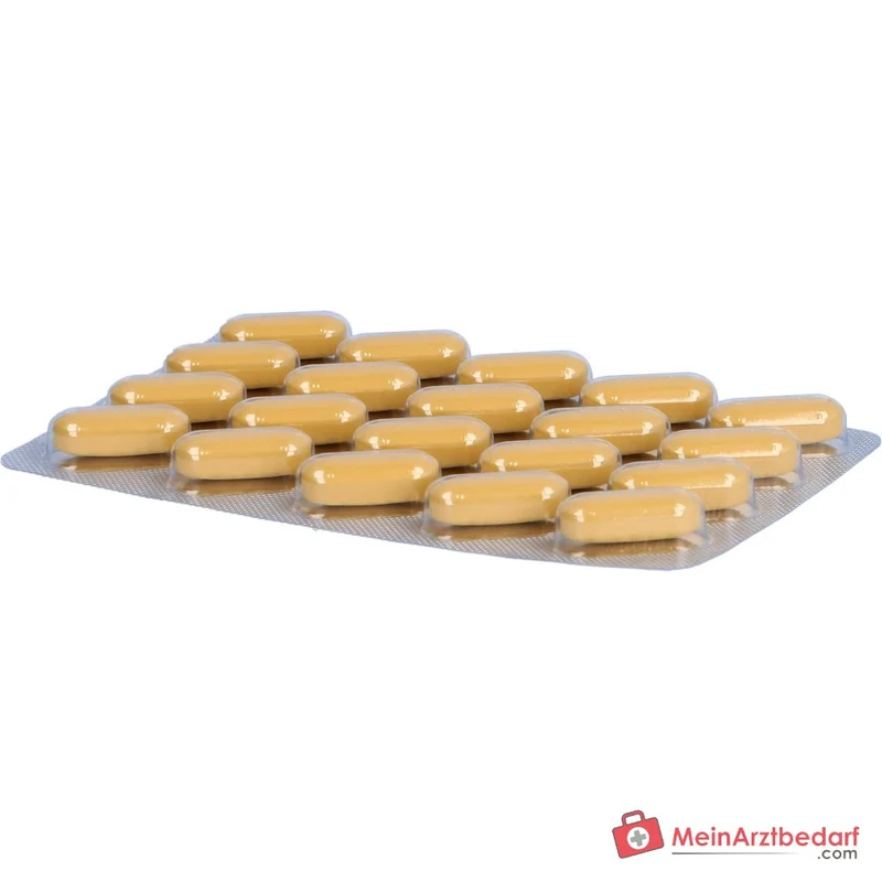 Dr. Willmar Schwabe Neuroplant Aktiv Johanniskraut-Trockenextrakt Filmtabletten 600 mg, 100 St.