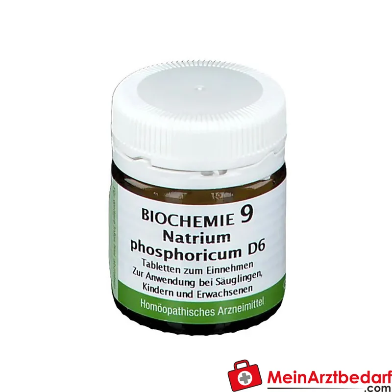 Bombastus Biochemie Biochemie 9 Natrium phosphoricum D6 250 mg Tabletten