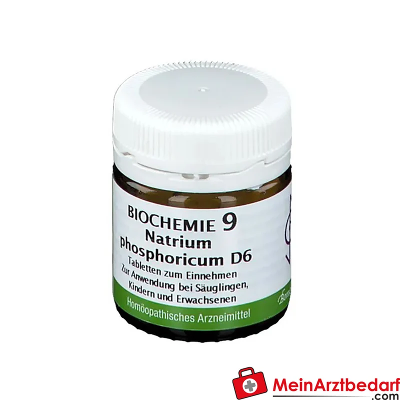 Bombastus Biochemie Biochemie 9 Natrium phosphoricum D6 250 mg Tabletten