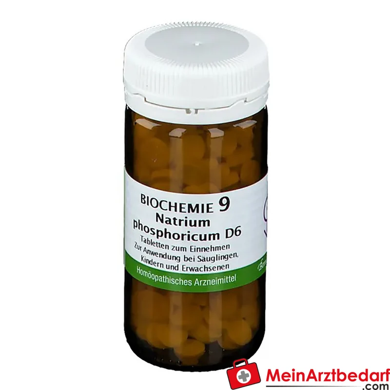 Bombastus Biochemie Biochemie 9 Natrium phosphoricum D6 250 mg Tabletten
