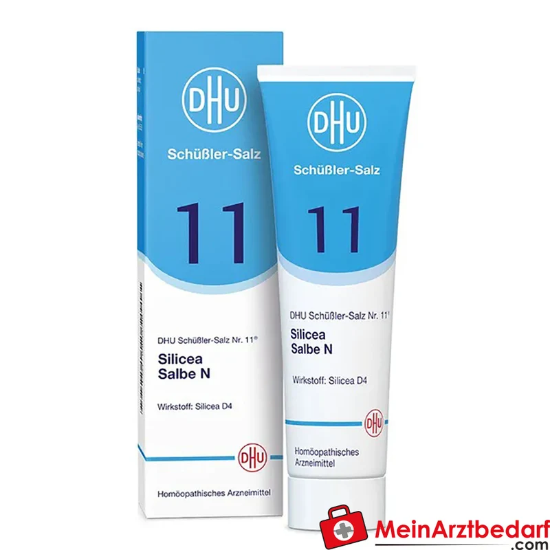 DHU Biochemie Silicea Nr.11 D4 Acidum silicicum 10 mg Salbe