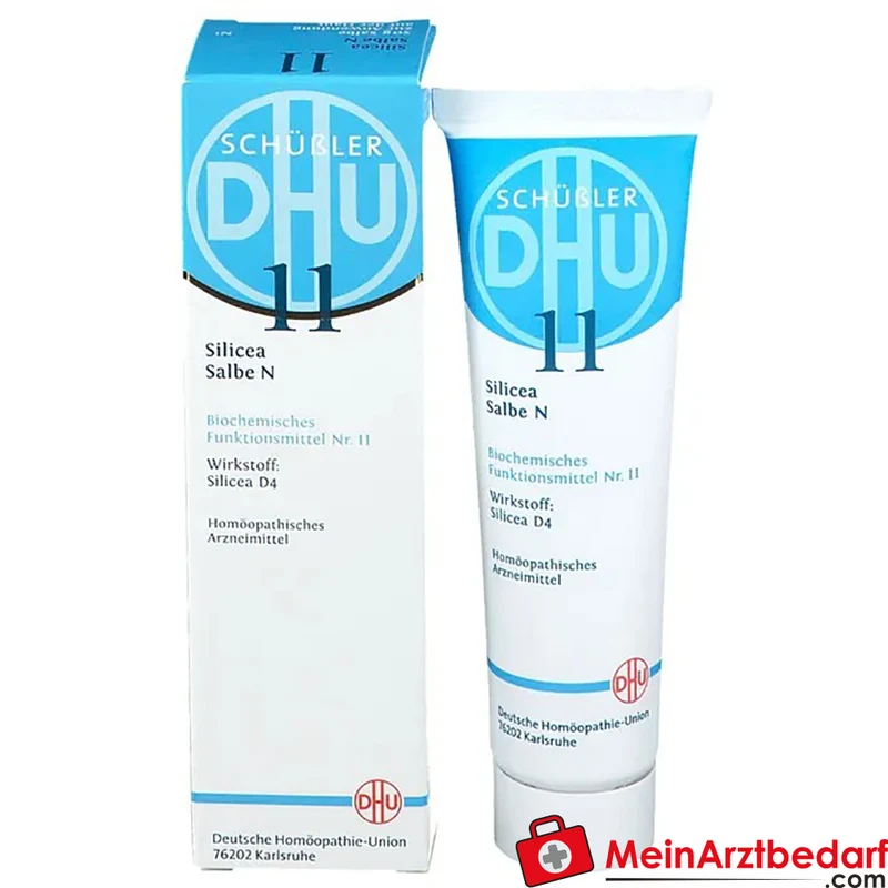 DHU Biochemie Silicea Nr.11 D4 Acidum silicicum 10 mg Salbe