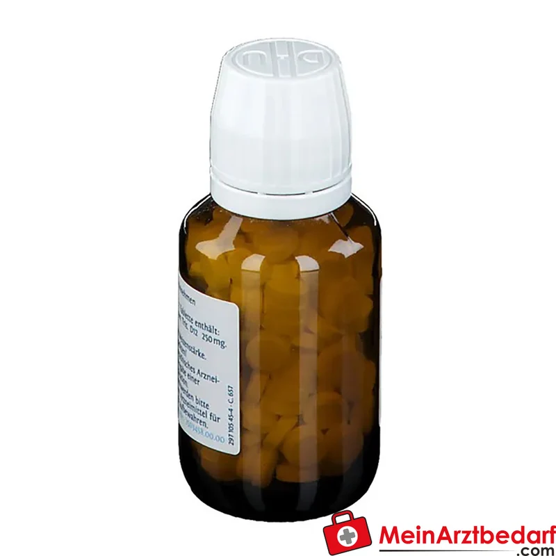 DHU Biochemie Nr.17 Manganum sulfuricum D12 Tabletten 250 mg