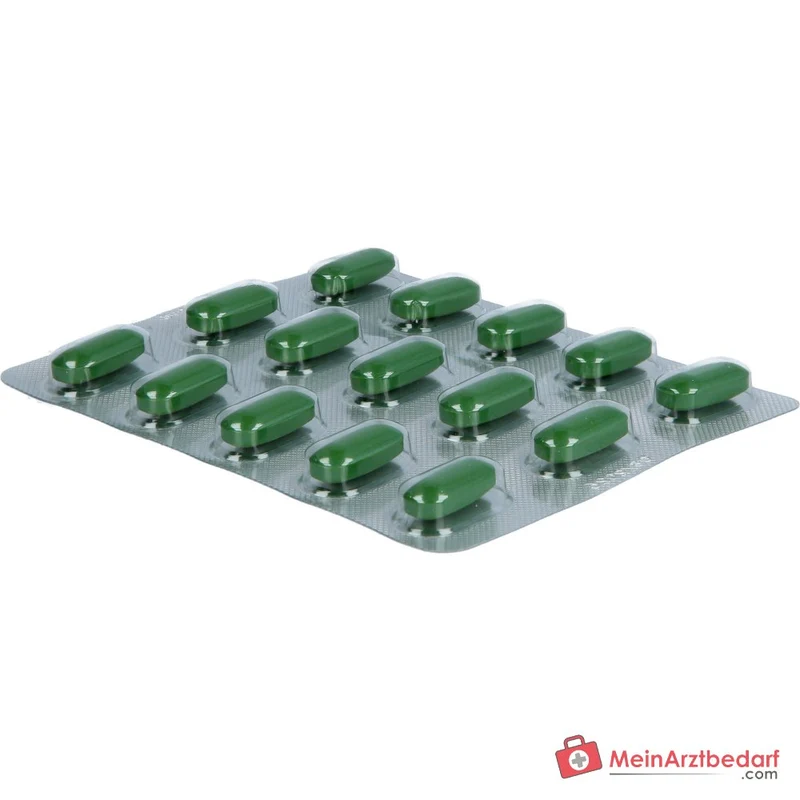 Remisens Damianablätter-Trockenextrakt Filmtabletten, 90 St.