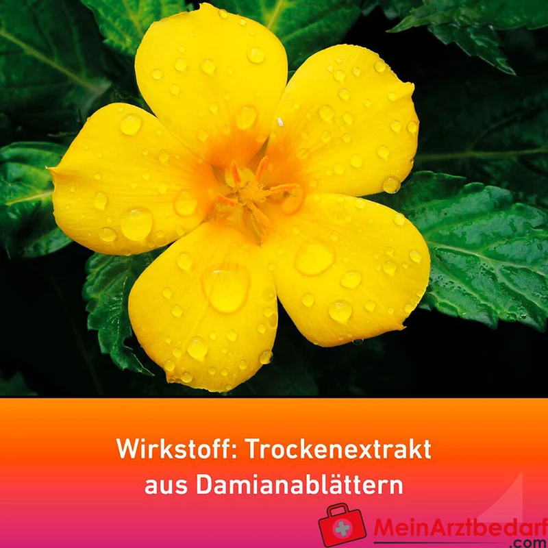 Remisens Damianablätter-Trockenextrakt Filmtabletten, 90 St.