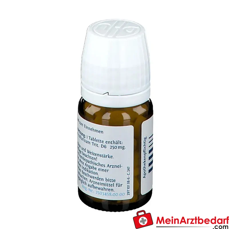 DHU Biochemie 17 Manganum sulfuricum D6 250 mg Tabletten