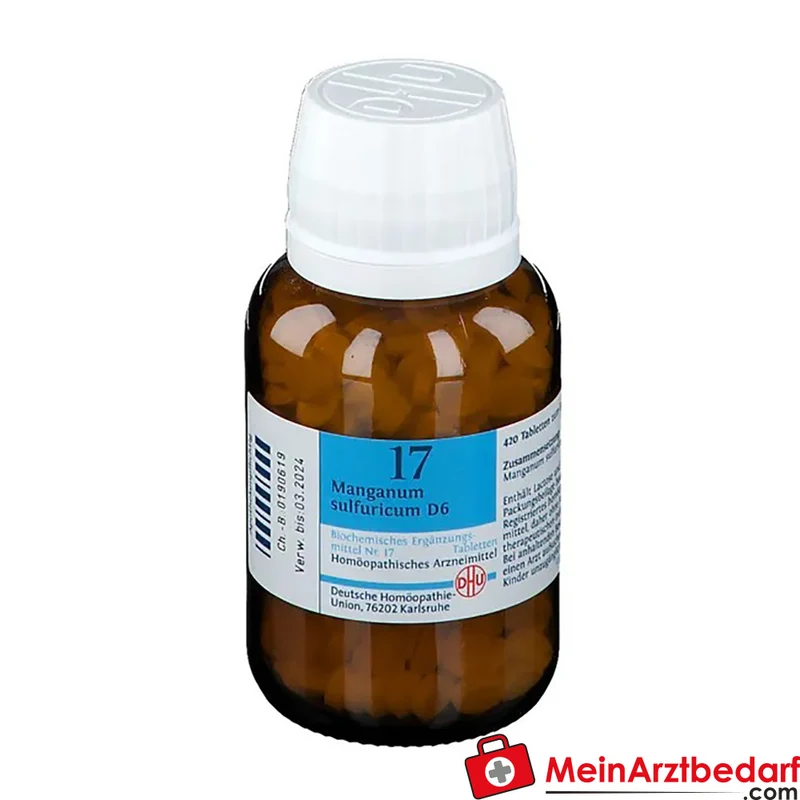 DHU Biochemie 17 Manganum sulfuricum D6 250 mg Tabletten