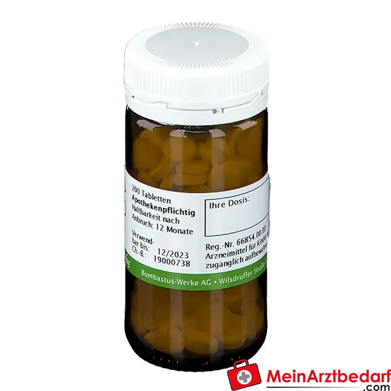 BIOCHEMIE 23 Natrium bicarbonicum D6 Tabletten homöopathisches Arzneimittel