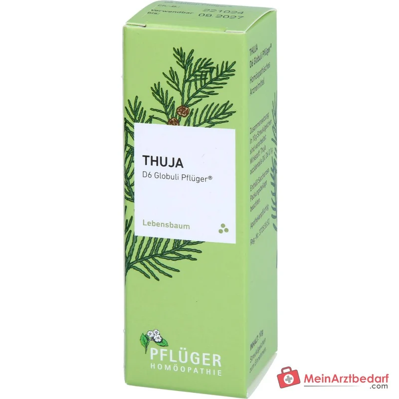 Pflüger Thuja D6 Globuli Thuja occidentalis D6 Streukügelchen 10 g