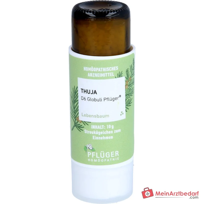 Pflüger Thuja D6 Globuli Thuja occidentalis D6 Streukügelchen 10 g