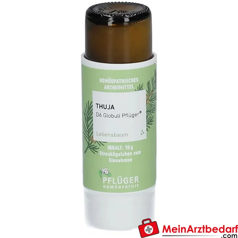 Pflüger Thuja D6 Globuli Thuja occidentalis D6 Streukügelchen 10 g