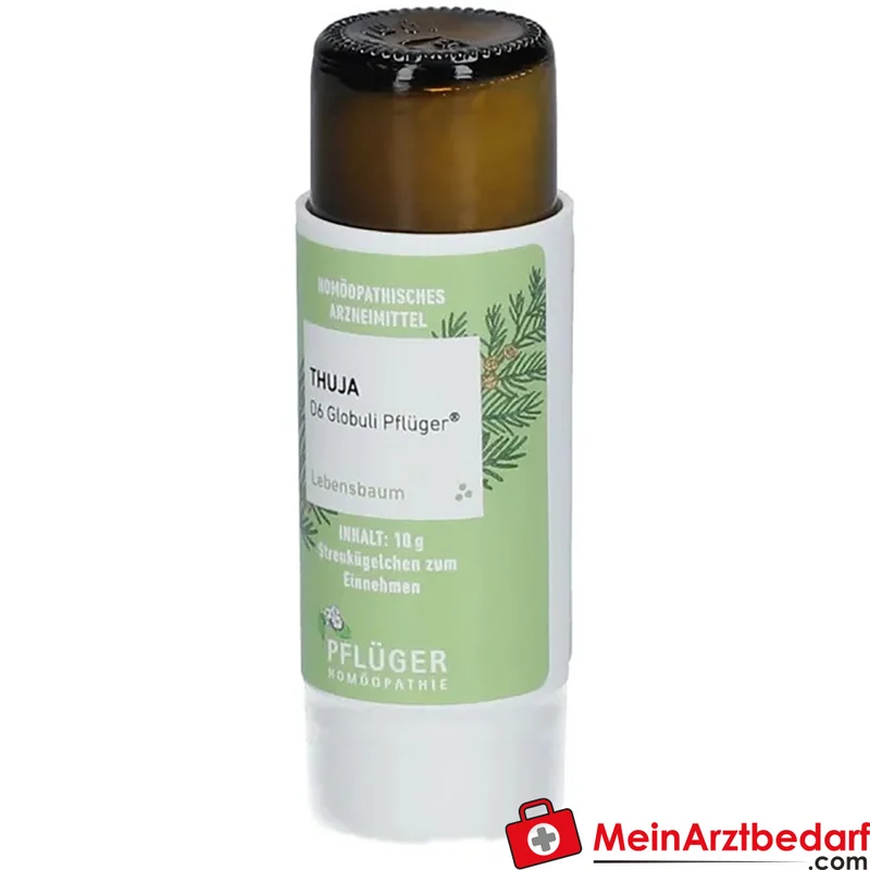 Pflüger Thuja D6 Globuli Thuja occidentalis D6 Streukügelchen 10 g