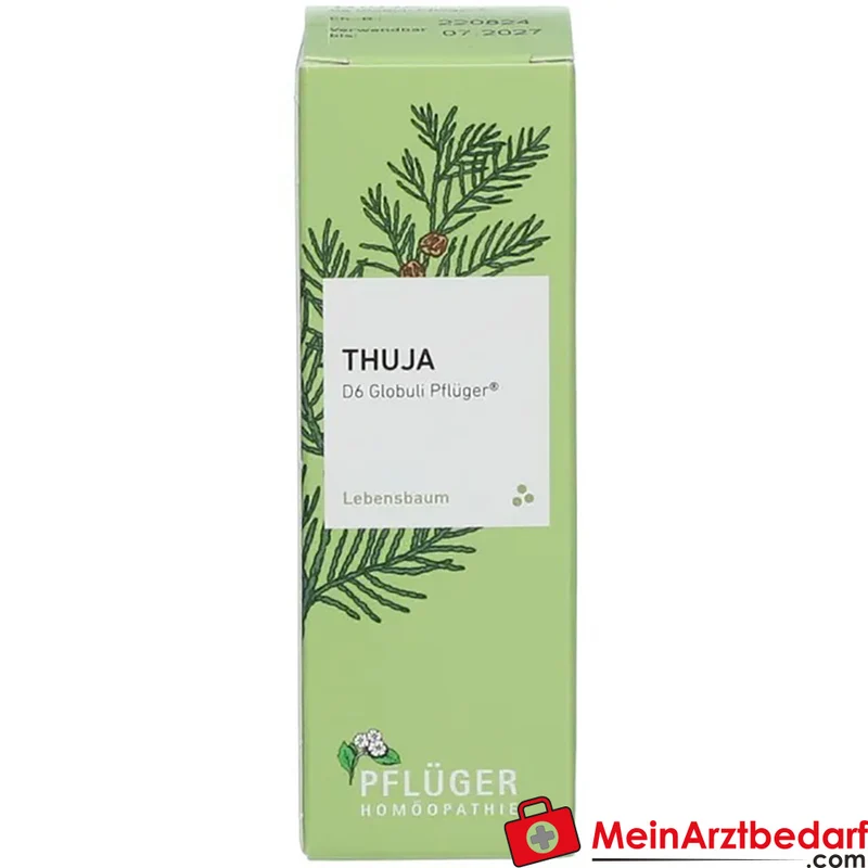 Pflüger Thuja D6 Globuli Thuja occidentalis D6 Streukügelchen 10 g