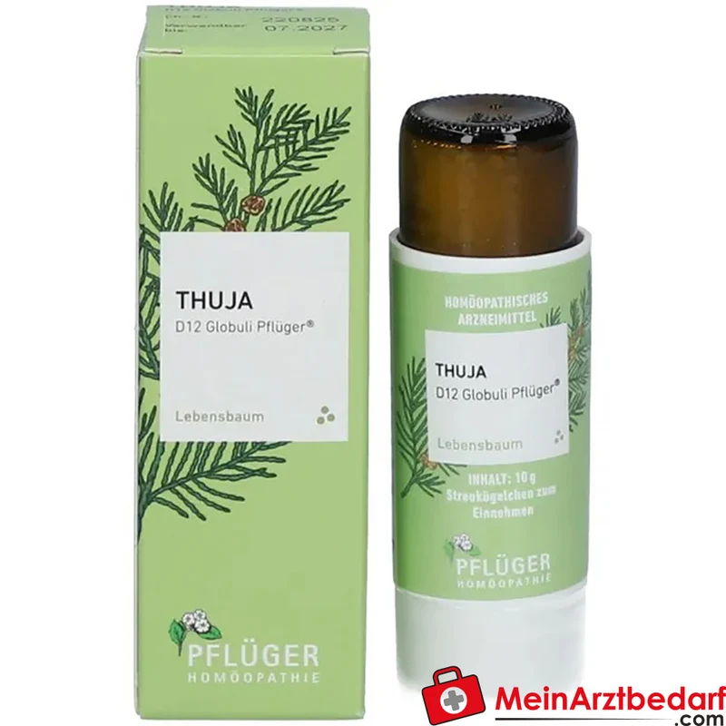Pflüger Thuja D12 Globuli 10 g mit Dosierspender