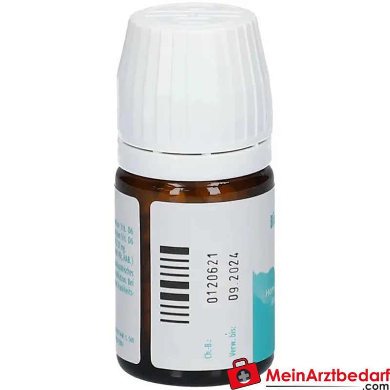DHU Bicomplex 21 homöopathisches Arzneimittel Tabletten bei Schleimhautbeschwerden
