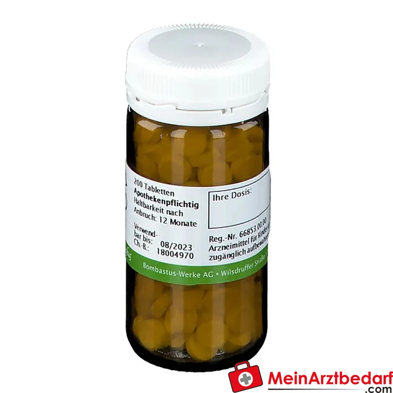 Bombastus Biochemie 22 Calcium carbonicum D12 250 mg Tabletten