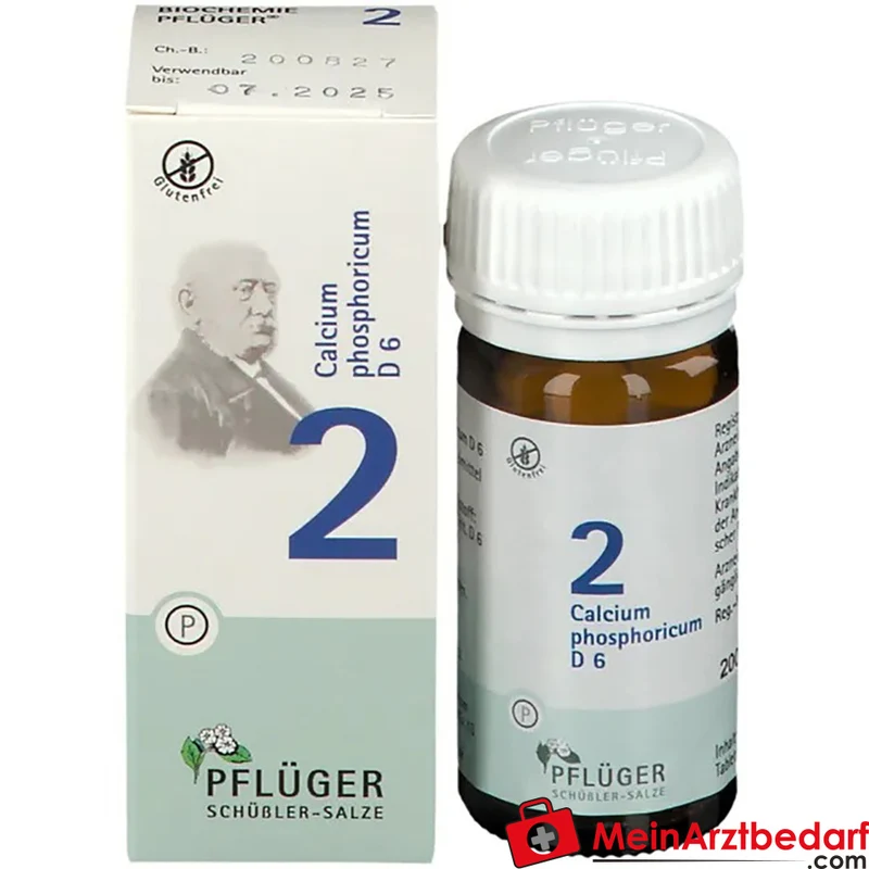Pflüger Biochemie Nr. 2 Calcium phosphoricum D6 Tabletten, 100 St.