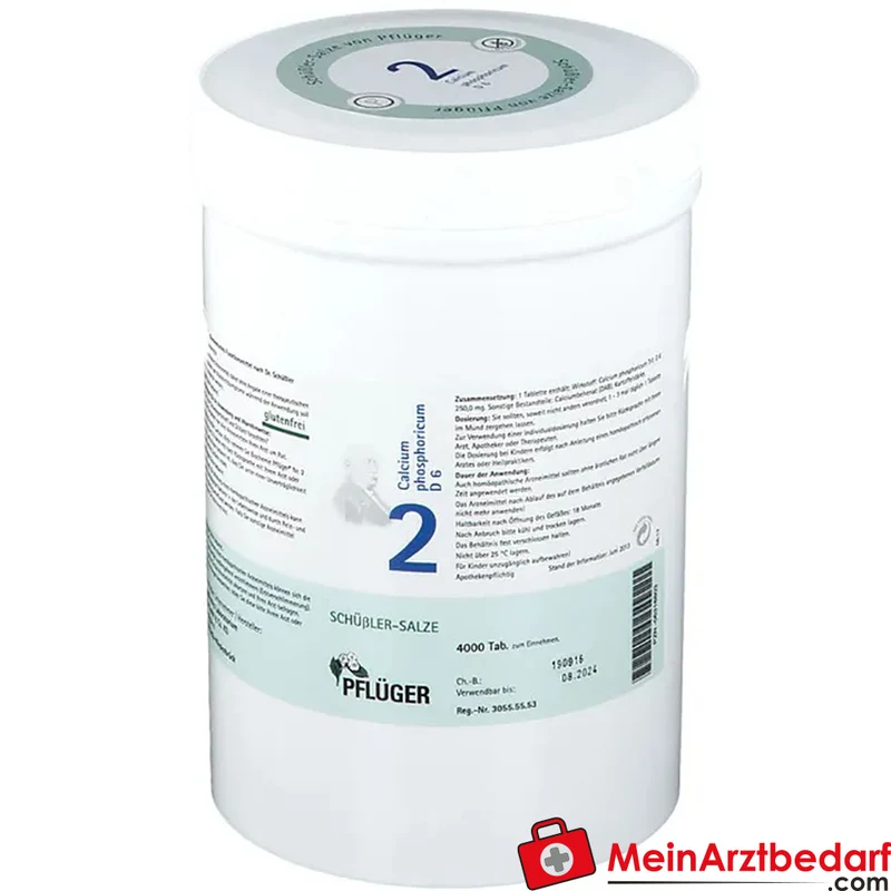 Pflüger Biochemie Nr. 2 Calcium phosphoricum D6 Tabletten, 100 St.