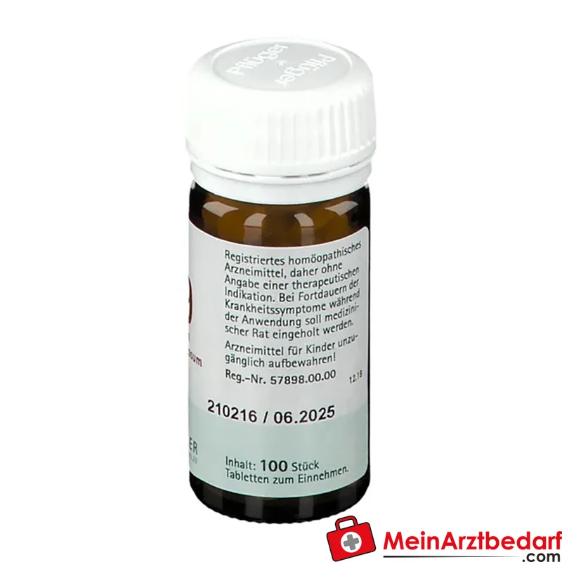 Biochemie Pflüger Nr. 19 Cuprum arsenicosum D6 250 mg Tabletten