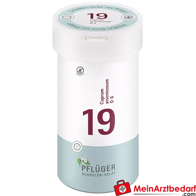 Biochemie Pflüger Nr. 19 Cuprum arsenicosum D6 250 mg Tabletten