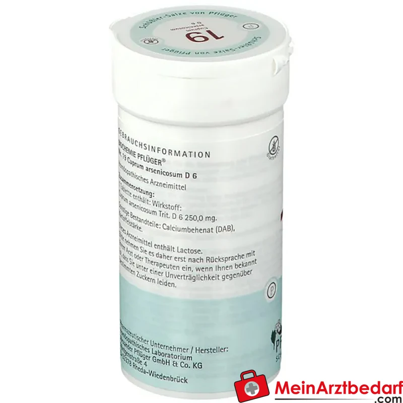 Biochemie Pflüger Nr. 19 Cuprum arsenicosum D6 250 mg Tabletten