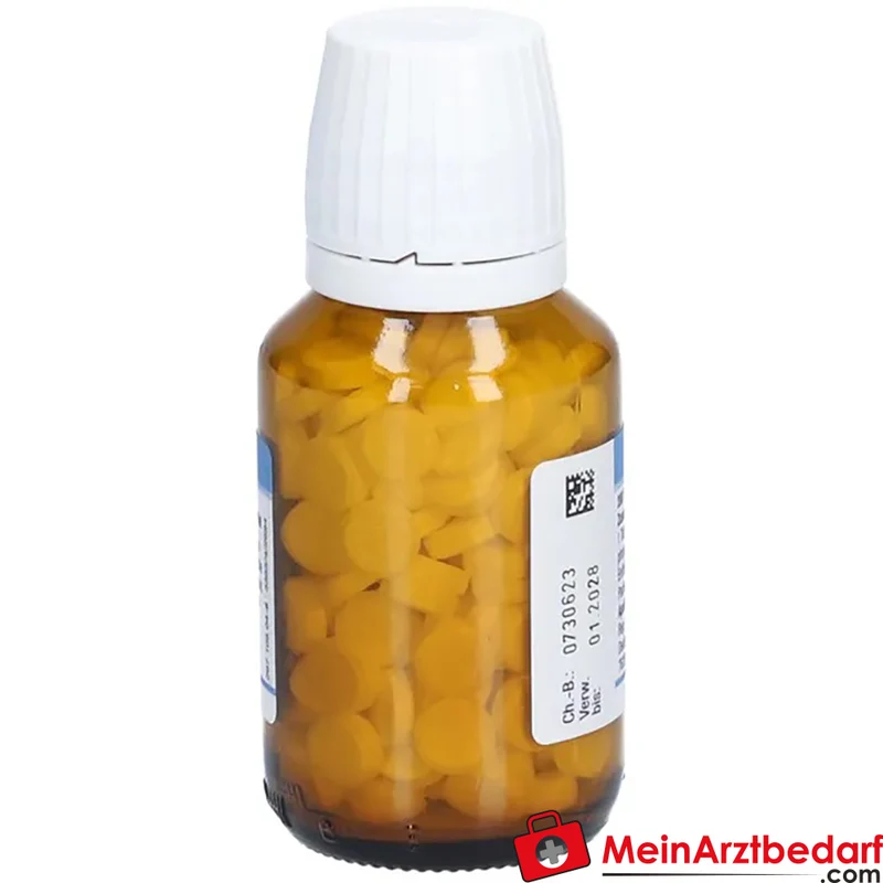 DHU Schüßler-Salz Nr. 2 Calcium phosphoricum D6 Tabletten
