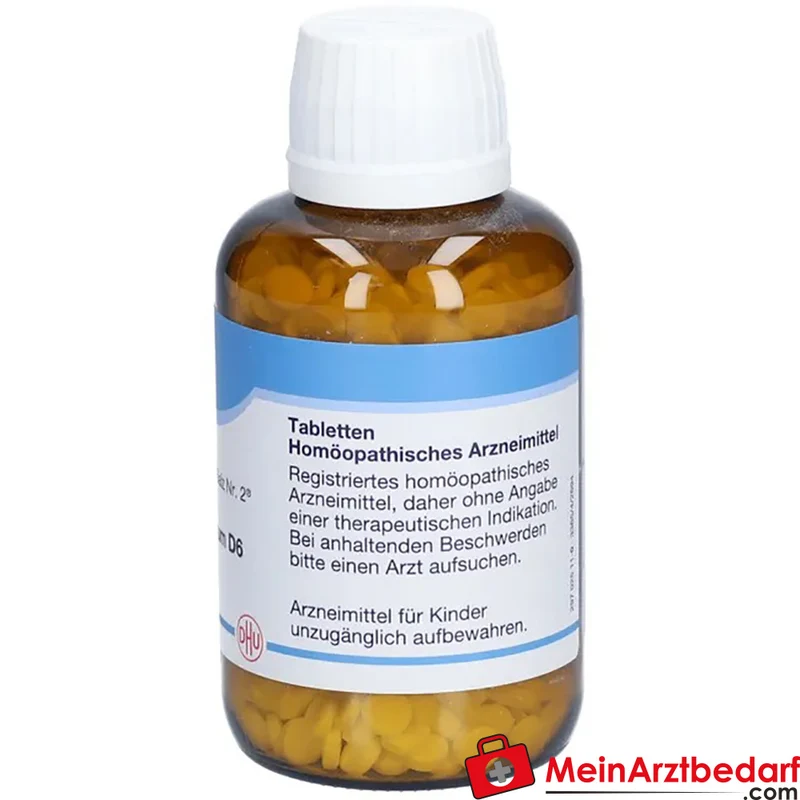 DHU Schüßler-Salz Nr. 2 Calcium phosphoricum D6 Tabletten 80 Stück