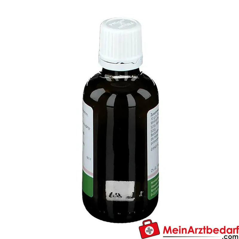 Pflügerplex Salvia 122 Pilocarpus D4 500 mg Salvia officinalis D2 500 mg Tropfen 10,8 ml