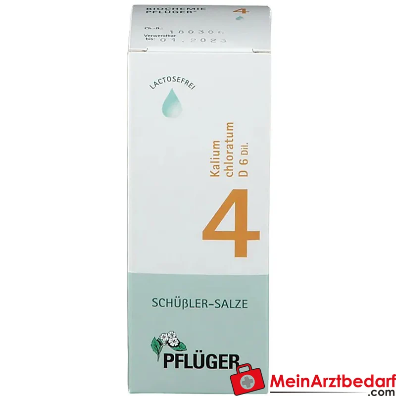 Biochemie Pflüger Nr. 4 Kalium chloratum D6 Tropfen 1000 mg 100 ml