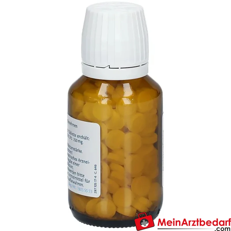 DHU Schüßler-Salz Nr. 6 D12 Kalium sulfuricum hom. Arzneimittel Tabletten