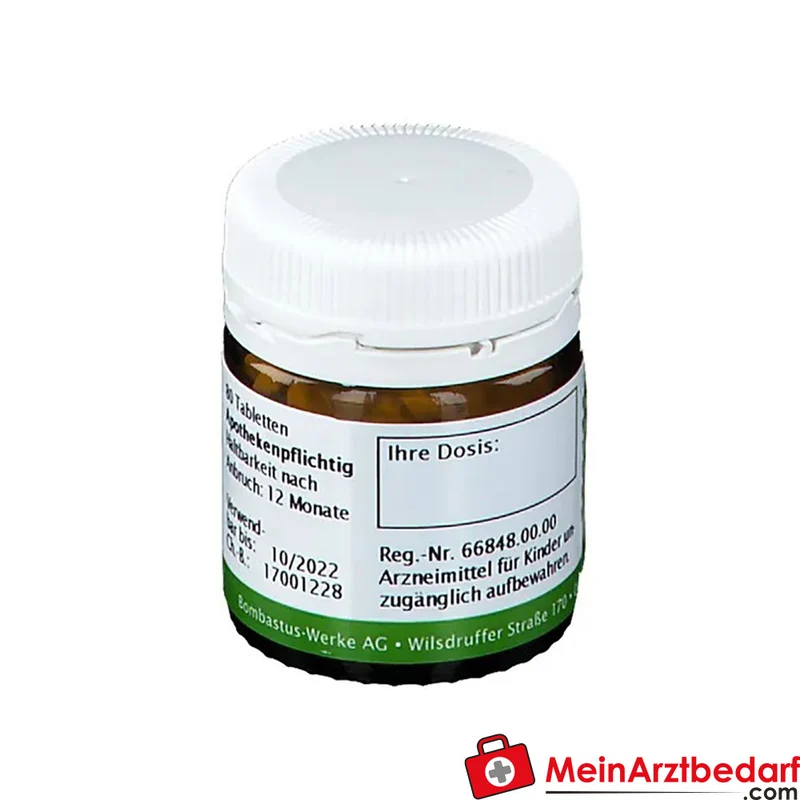 BIOCHEMIE 17 Manganum sulfuricum D6 250 mg Tabletten
