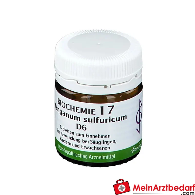 BIOCHEMIE 17 Manganum sulfuricum D6 250 mg Tabletten