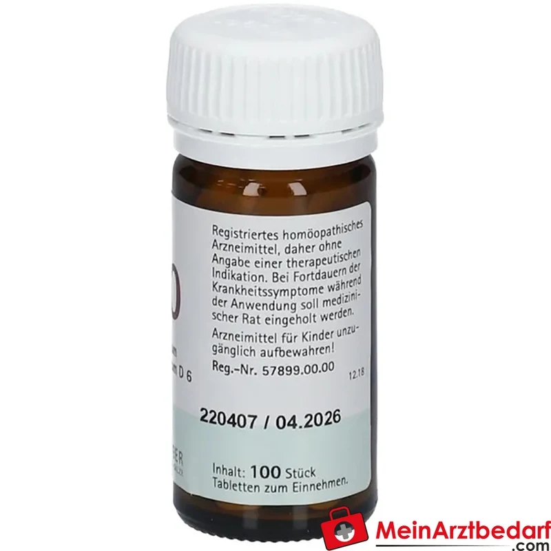 Biochemie Pflüger Nr. 20 Kalium aluminium sulfuricum D6 Tabletten, 100 St.