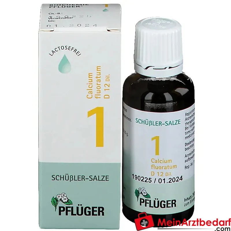 Biochemie Pflüger Nr. 1 Calcium fluoratum D12 Tropfen, 100 ml
