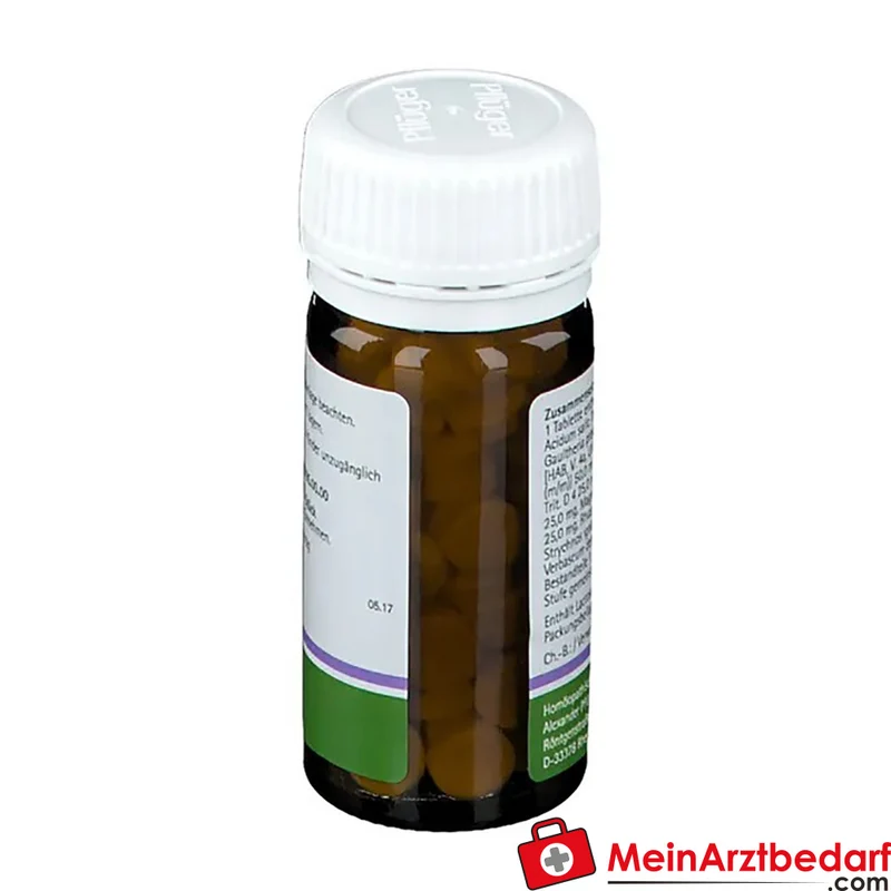 Pflüger Pflügerplex Rhus tox 353 H