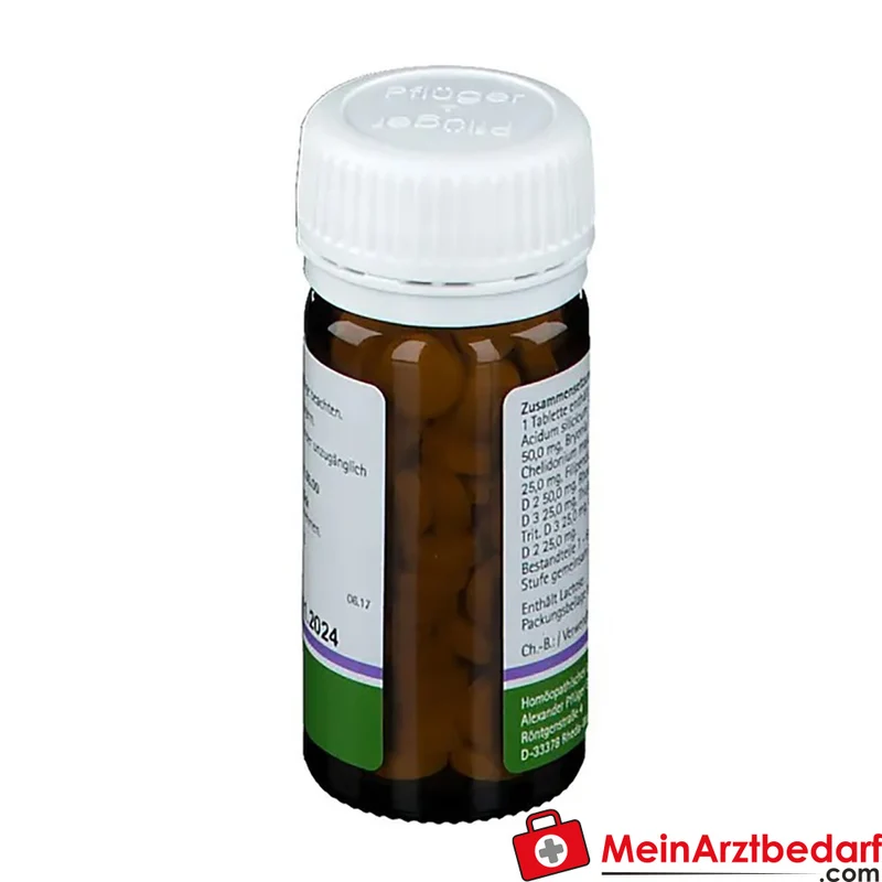 Pflüger Pflügerplex Rhododendron 307 H Acidum silicicum / Bryonia / Chelidonium majus / Filipendula ulmaria / Guajacum / Rhododendron / Thuja occidentalis Tabletten, 100 St.