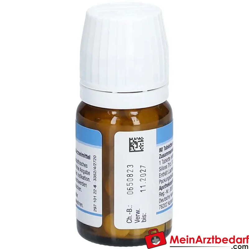DHU Schüßler-Salz Nr. 11 Silicea D12 Acidum silicicum 250 mg Tabletten